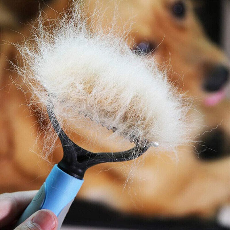 Grooming Brush