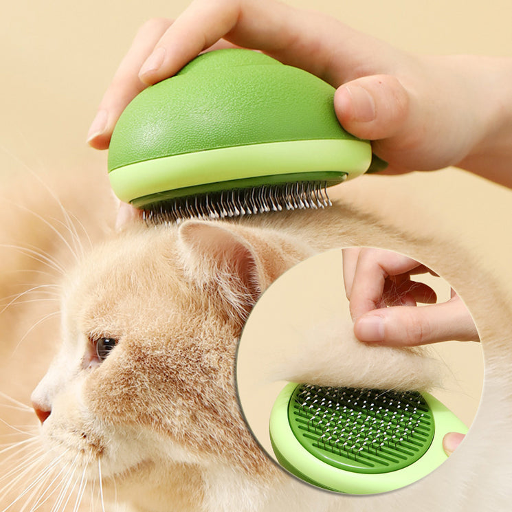 Hair Remover Cleaning Avocado