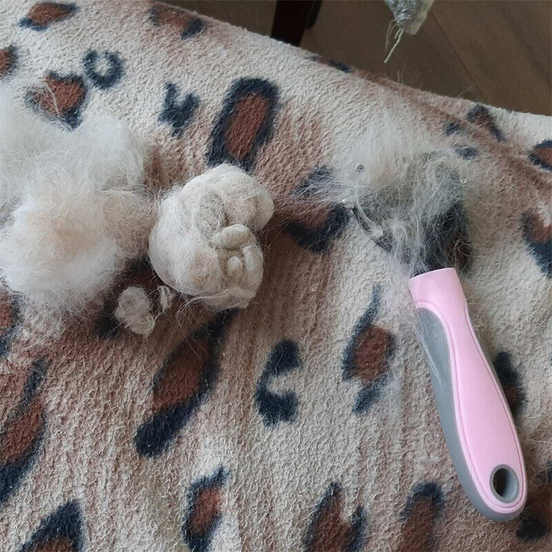 Grooming Brush